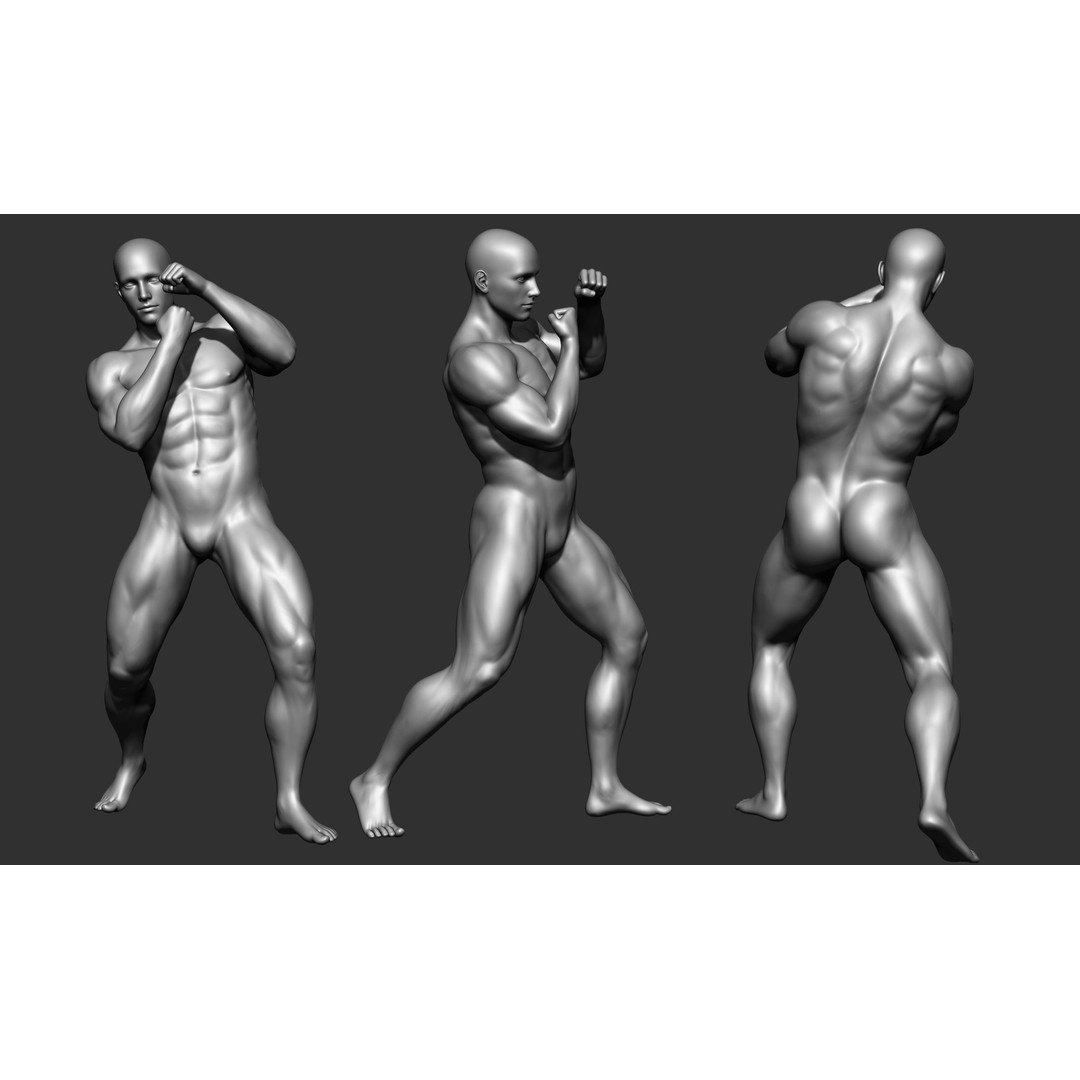 Fighting Poses 3D Model – Full Body Character Pack, OBJ & ZTL - View 11