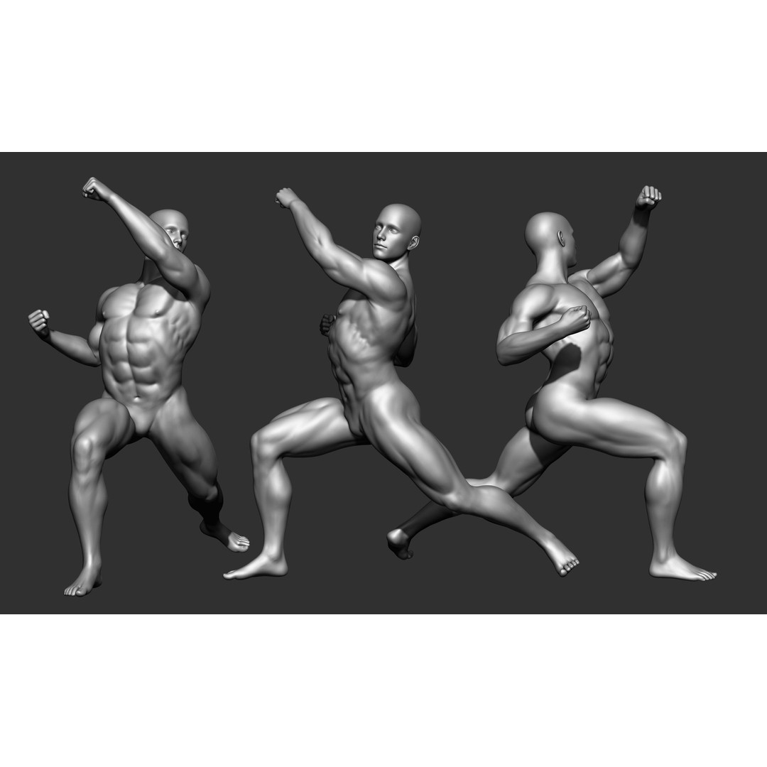 Fighting Poses 3D Model – Full Body Character Pack, OBJ & ZTL - View 12