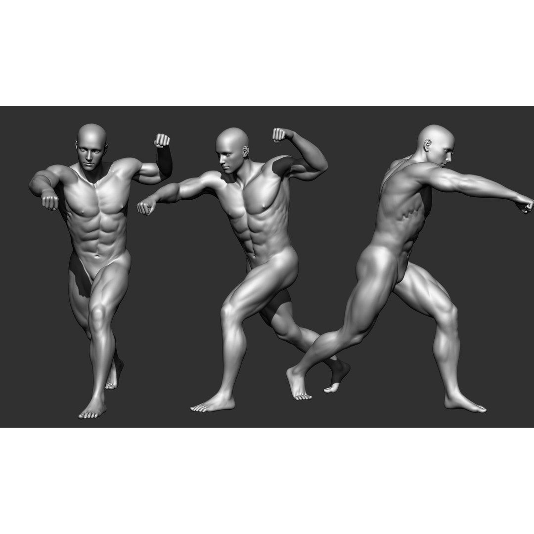Fighting Poses 3D Model – Full Body Character Pack, OBJ & ZTL - View 19