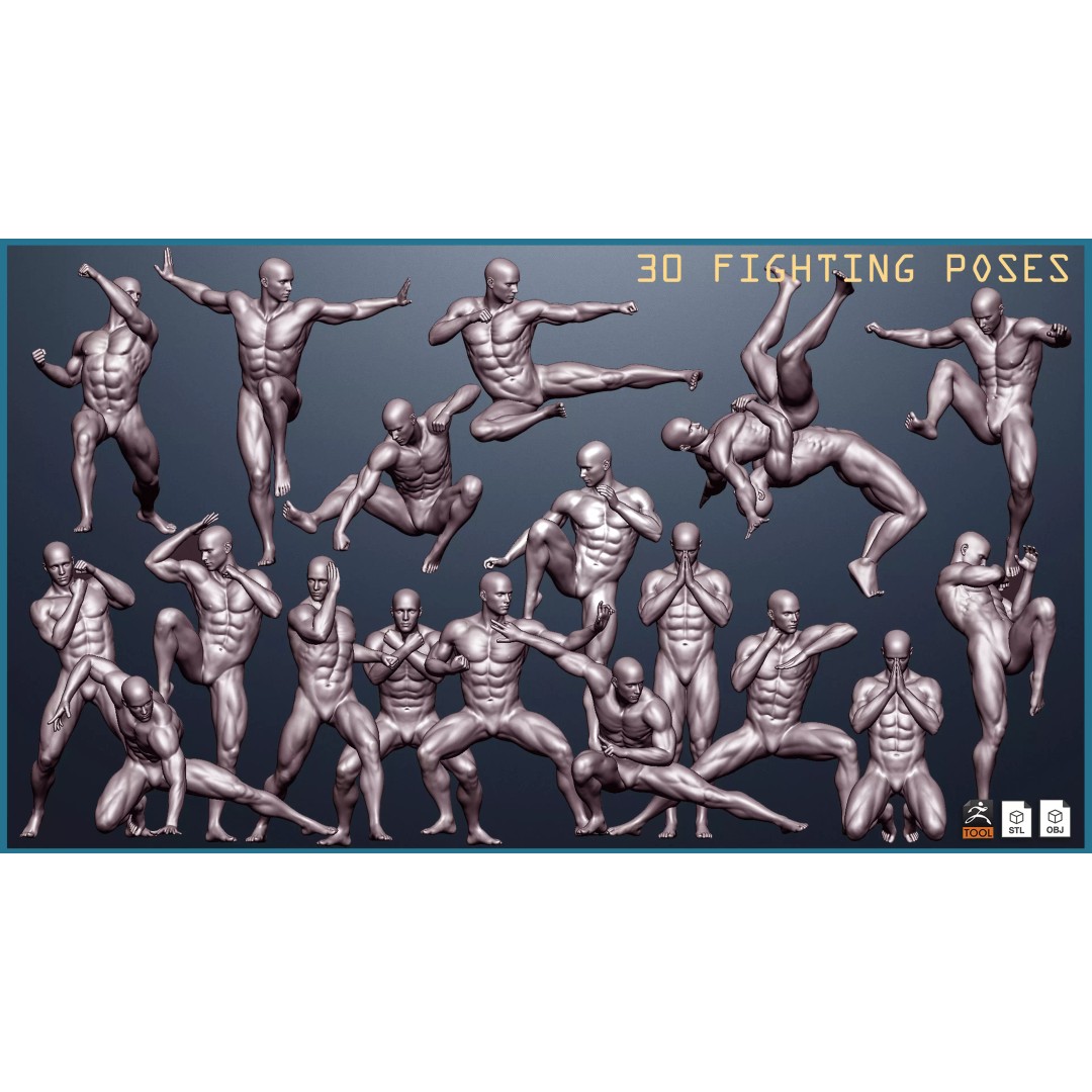 Fighting Poses 3D Model – Full Body Character Pack, OBJ & ZTL - View 2
