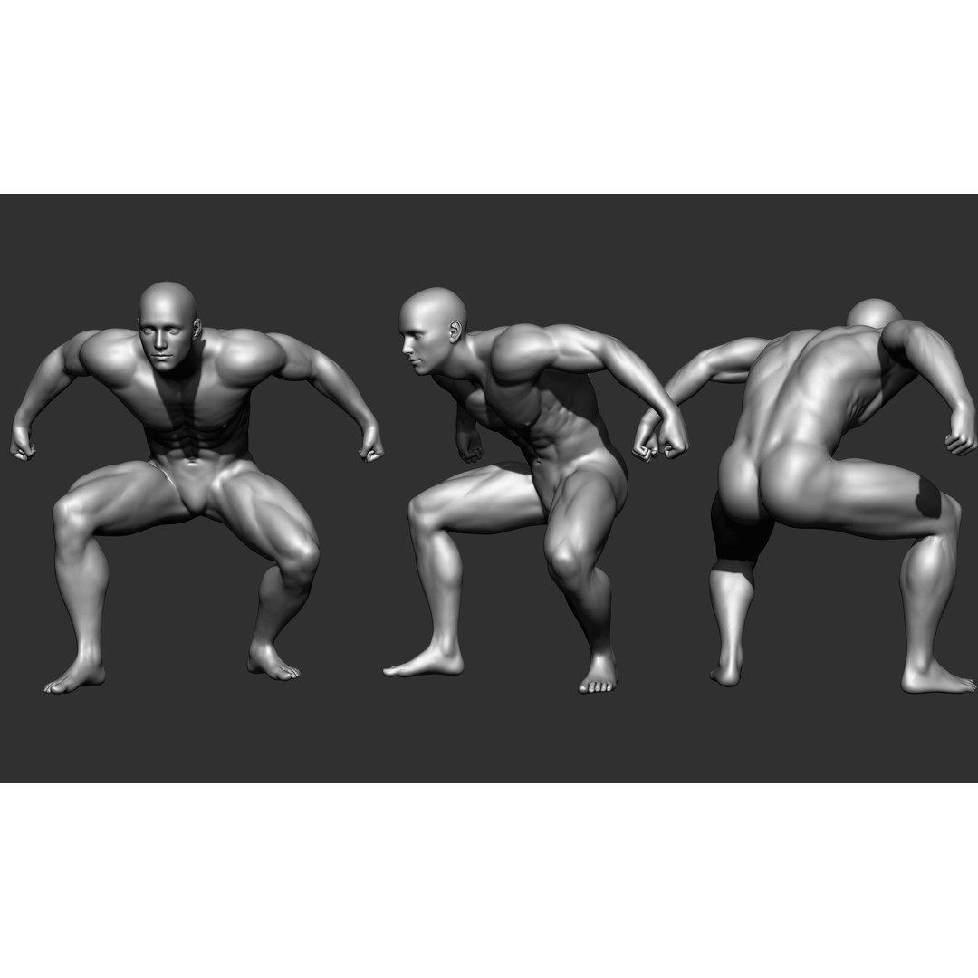 Fighting Poses 3D Model – Full Body Character Pack, OBJ & ZTL - View 21