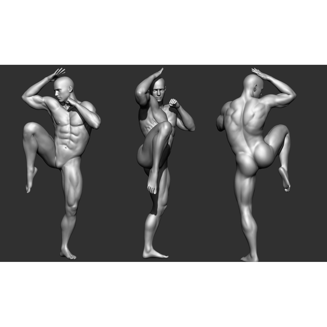 Fighting Poses 3D Model – Full Body Character Pack, OBJ & ZTL - View 23