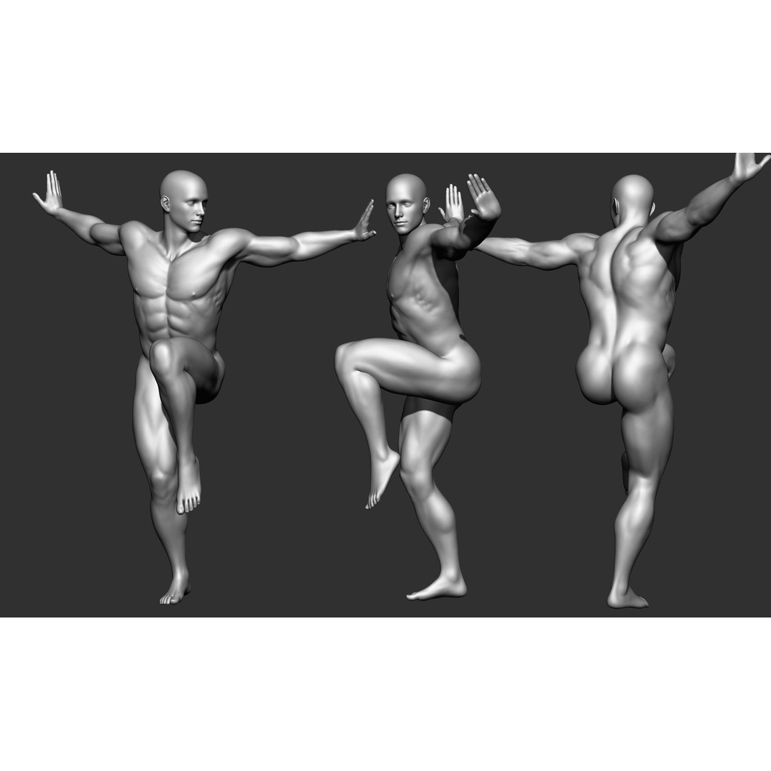 Fighting Poses 3D Model – Full Body Character Pack, OBJ & ZTL - View 24