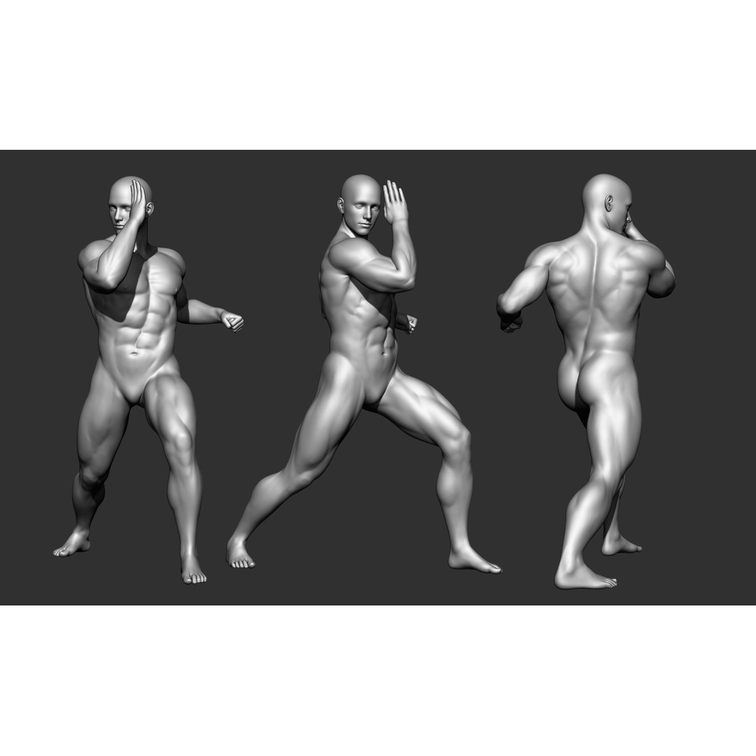 Fighting Poses 3D Model – Full Body Character Pack, OBJ & ZTL - View 25