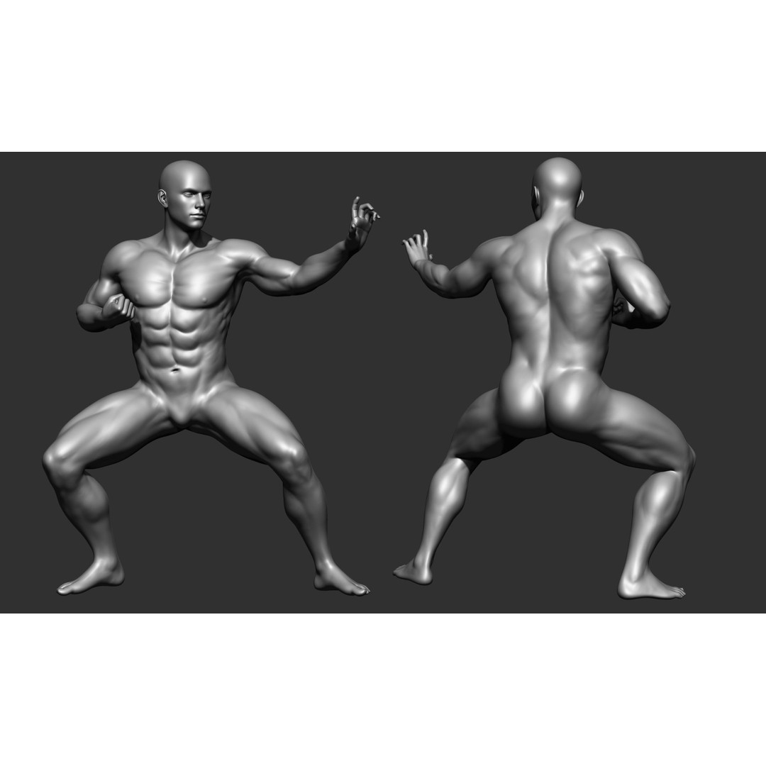 Fighting Poses 3D Model – Full Body Character Pack, OBJ & ZTL - View 26