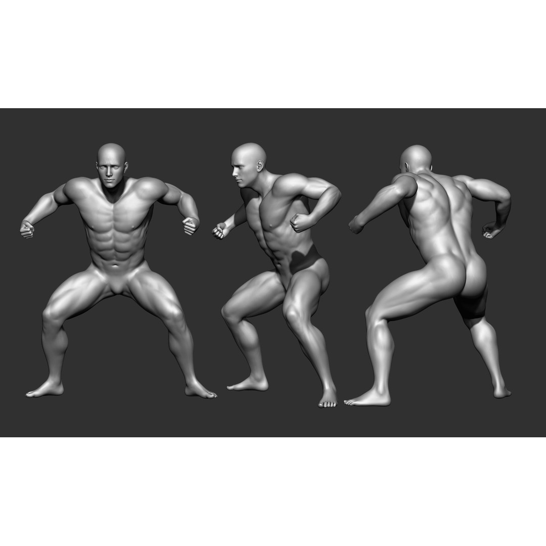 Fighting Poses 3D Model – Full Body Character Pack, OBJ & ZTL - View 28