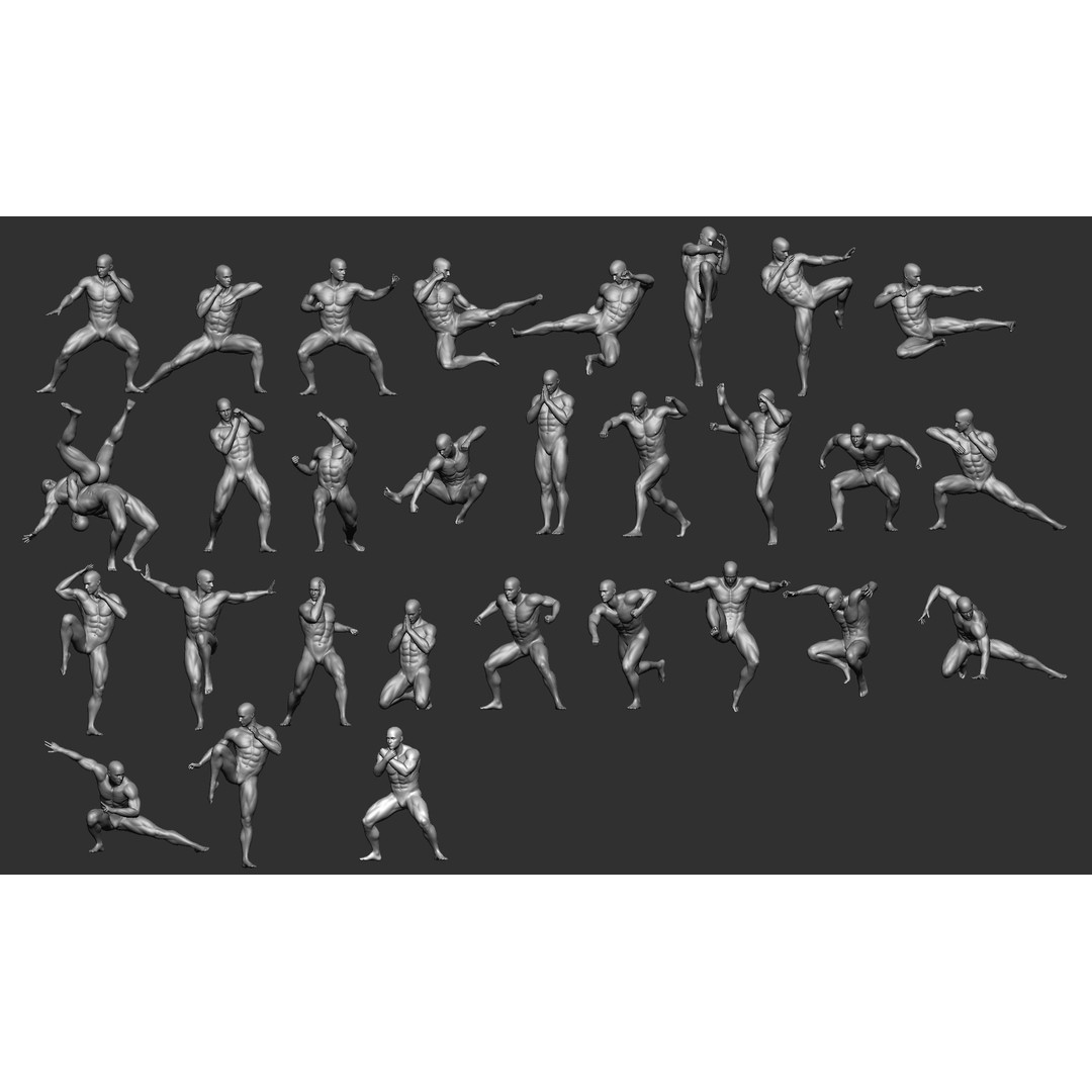 Fighting Poses 3D Model – Full Body Character Pack, OBJ & ZTL - View 3