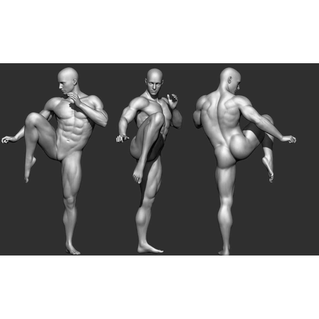 Fighting Poses 3D Model – Full Body Character Pack, OBJ & ZTL - View 35