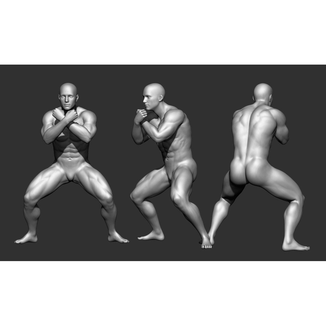 Fighting Poses 3D Model – Full Body Character Pack, OBJ & ZTL - View 36