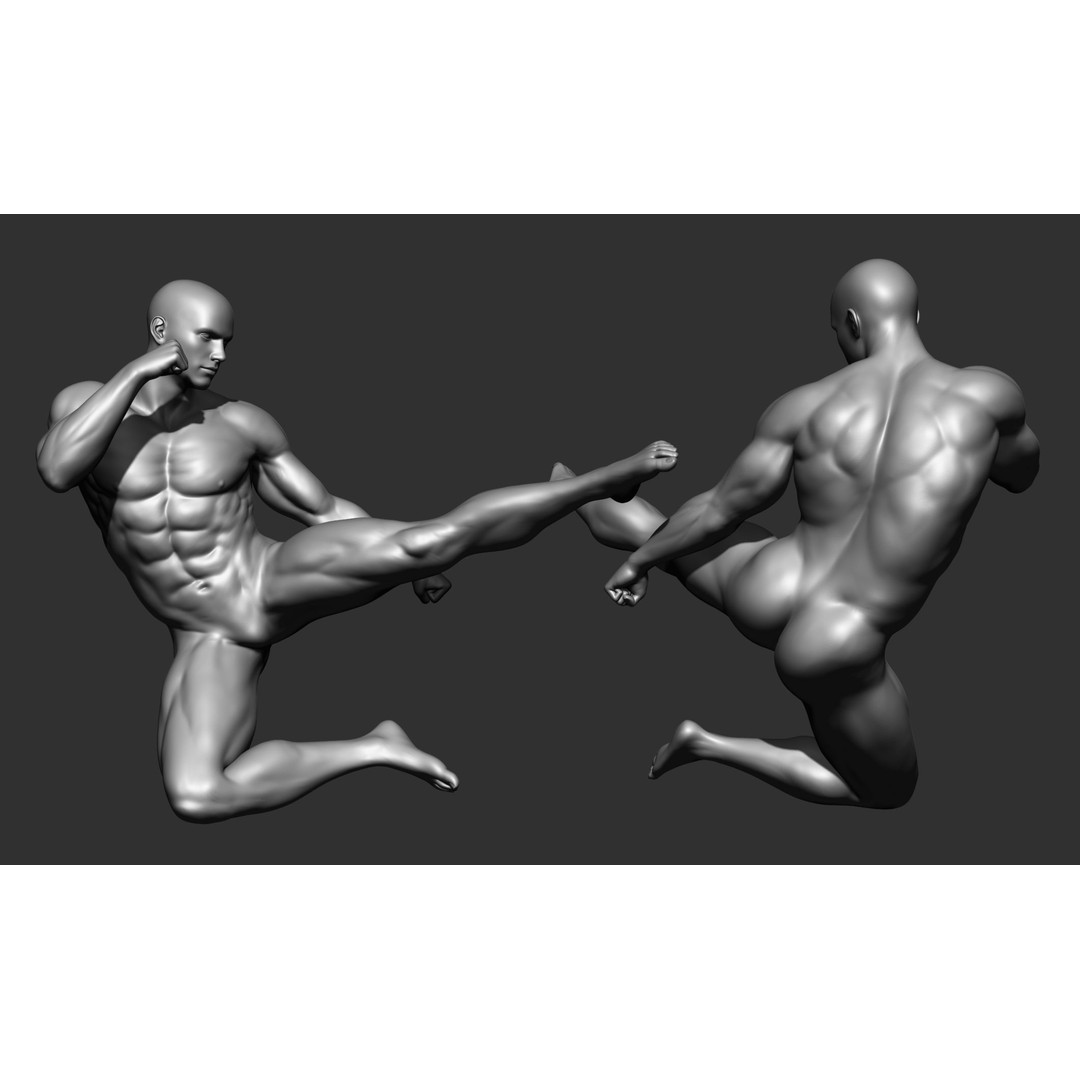 Fighting Poses 3D Model – Full Body Character Pack, OBJ & ZTL - View 37