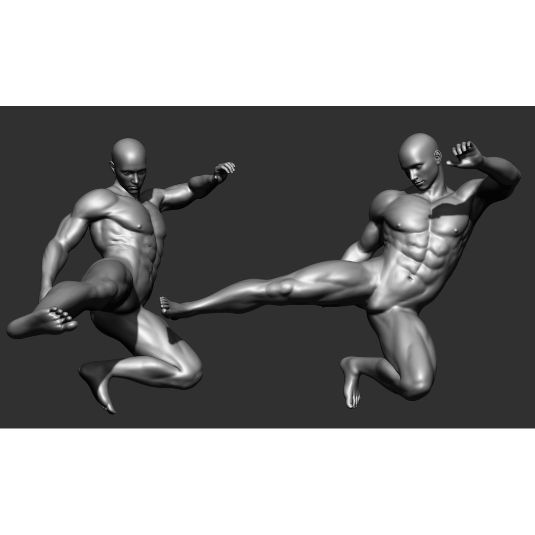 Fighting Poses 3D Model – Full Body Character Pack, OBJ & ZTL - View 38