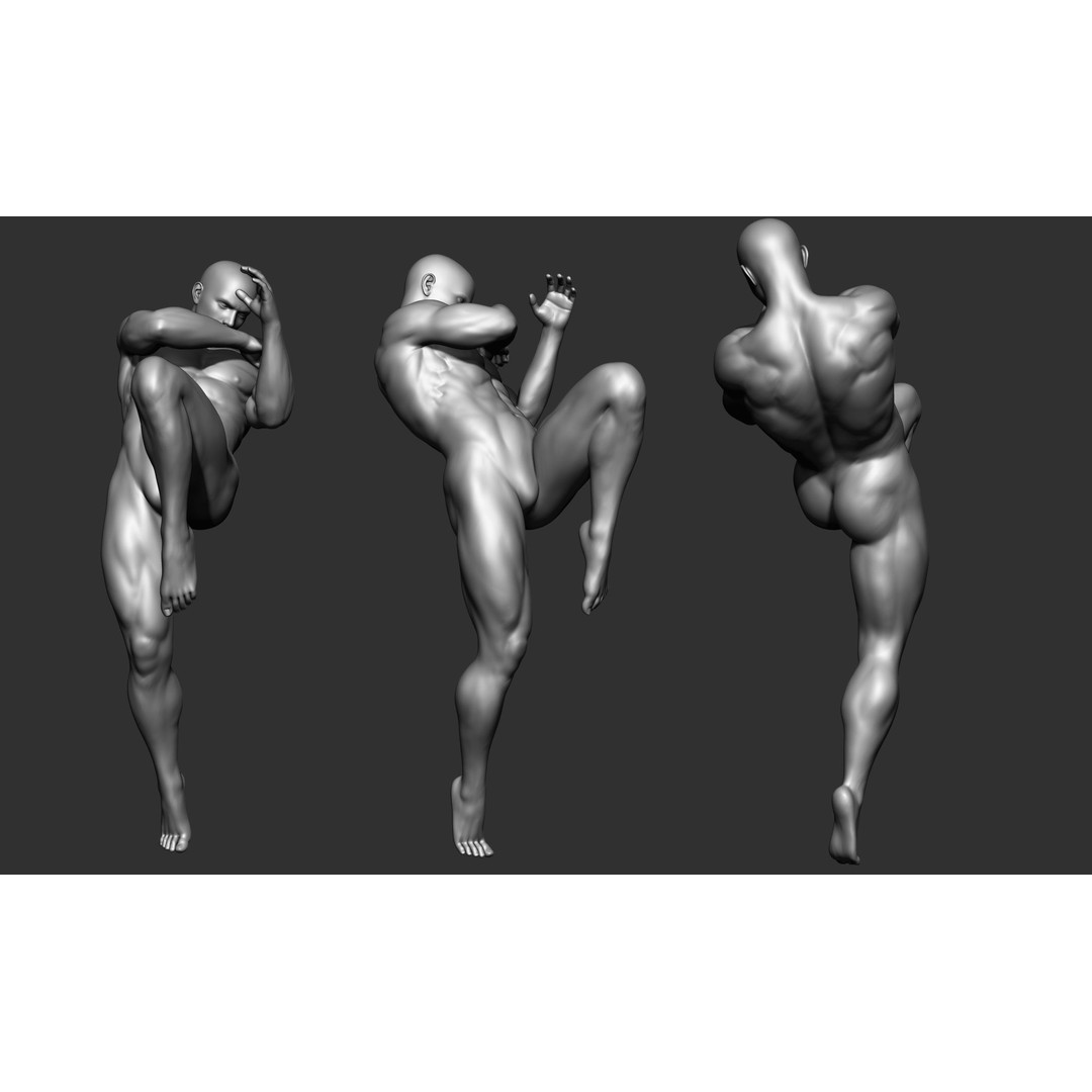 Fighting Poses 3D Model – Full Body Character Pack, OBJ & ZTL - View 39