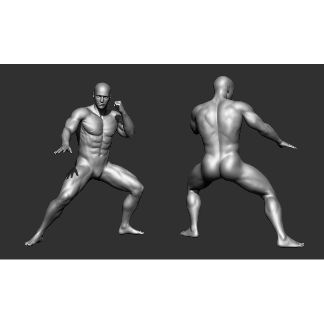 Fighting Poses 3D Model – Full Body Character Pack, OBJ & ZTL - View 4