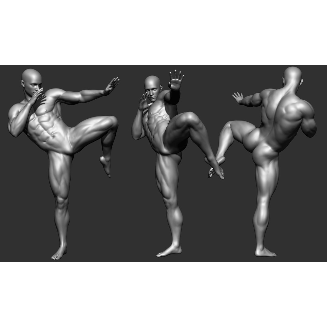 Fighting Poses 3D Model – Full Body Character Pack, OBJ & ZTL - View 40