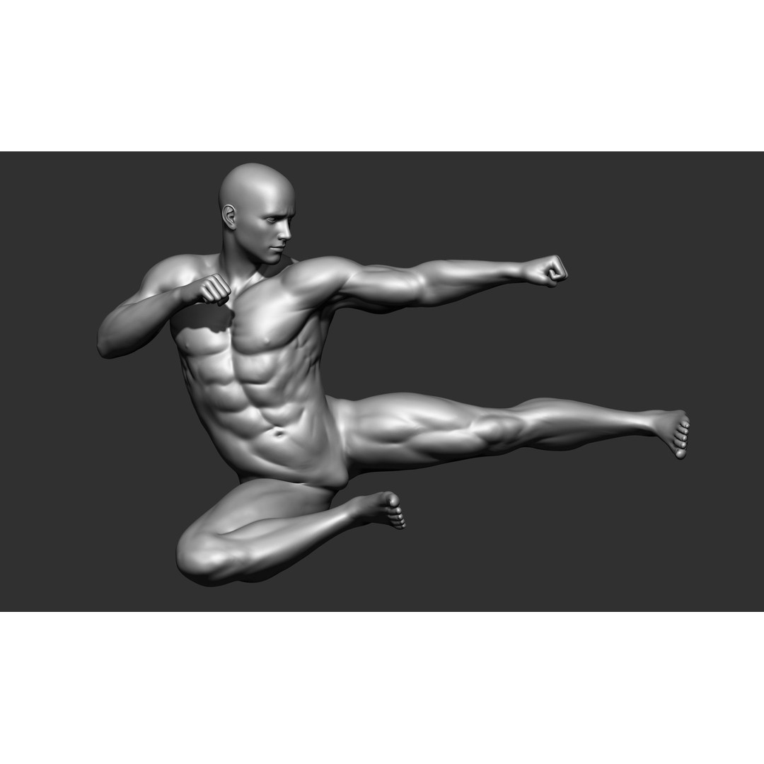 Fighting Poses 3D Model – Full Body Character Pack, OBJ & ZTL - View 41