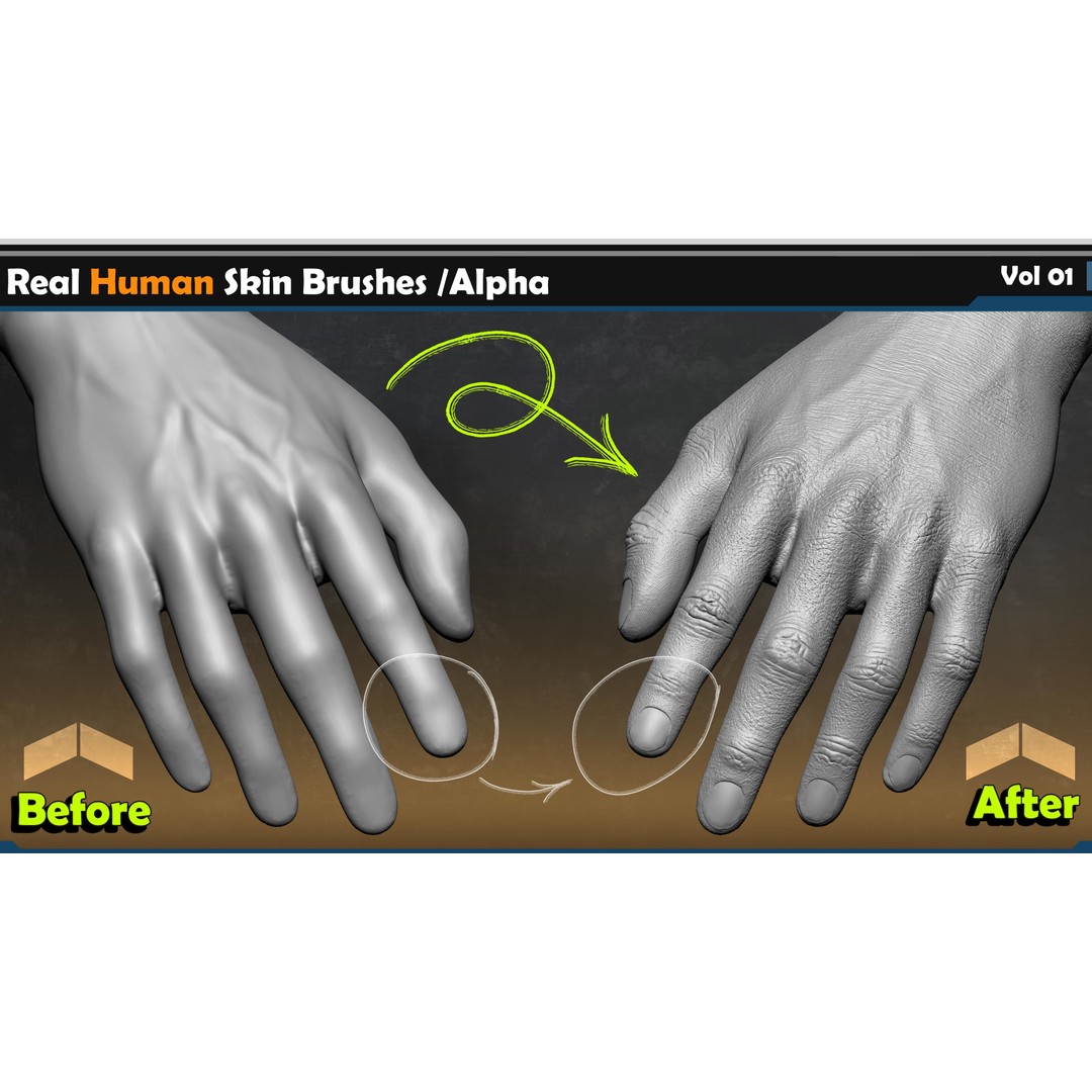 Real Human Skin Brushes 3D Model – Alpha Vol 01, ZBrush & Blender - View 3