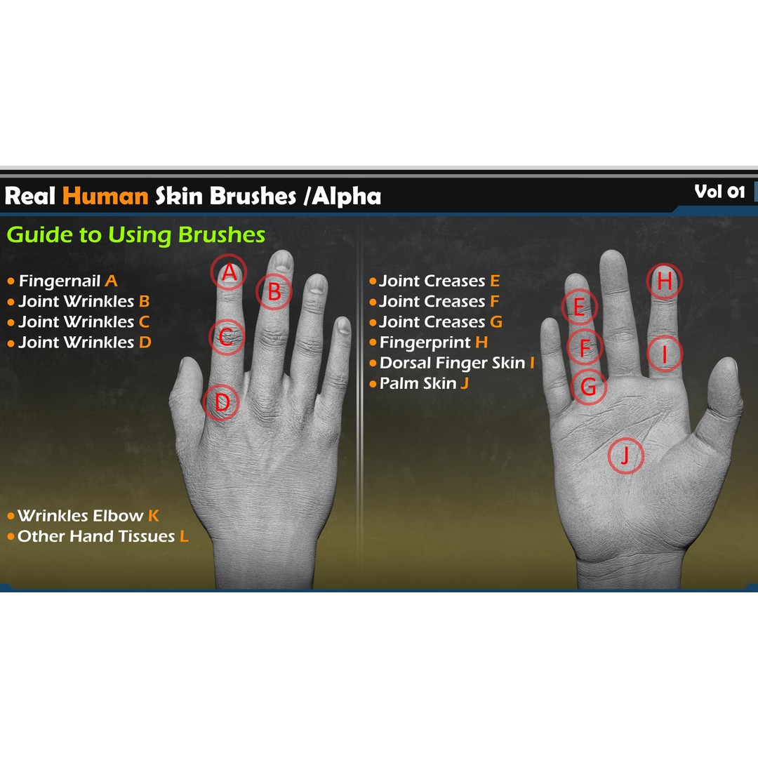 Real Human Skin Brushes 3D Model – Alpha Vol 01, ZBrush & Blender - View 4
