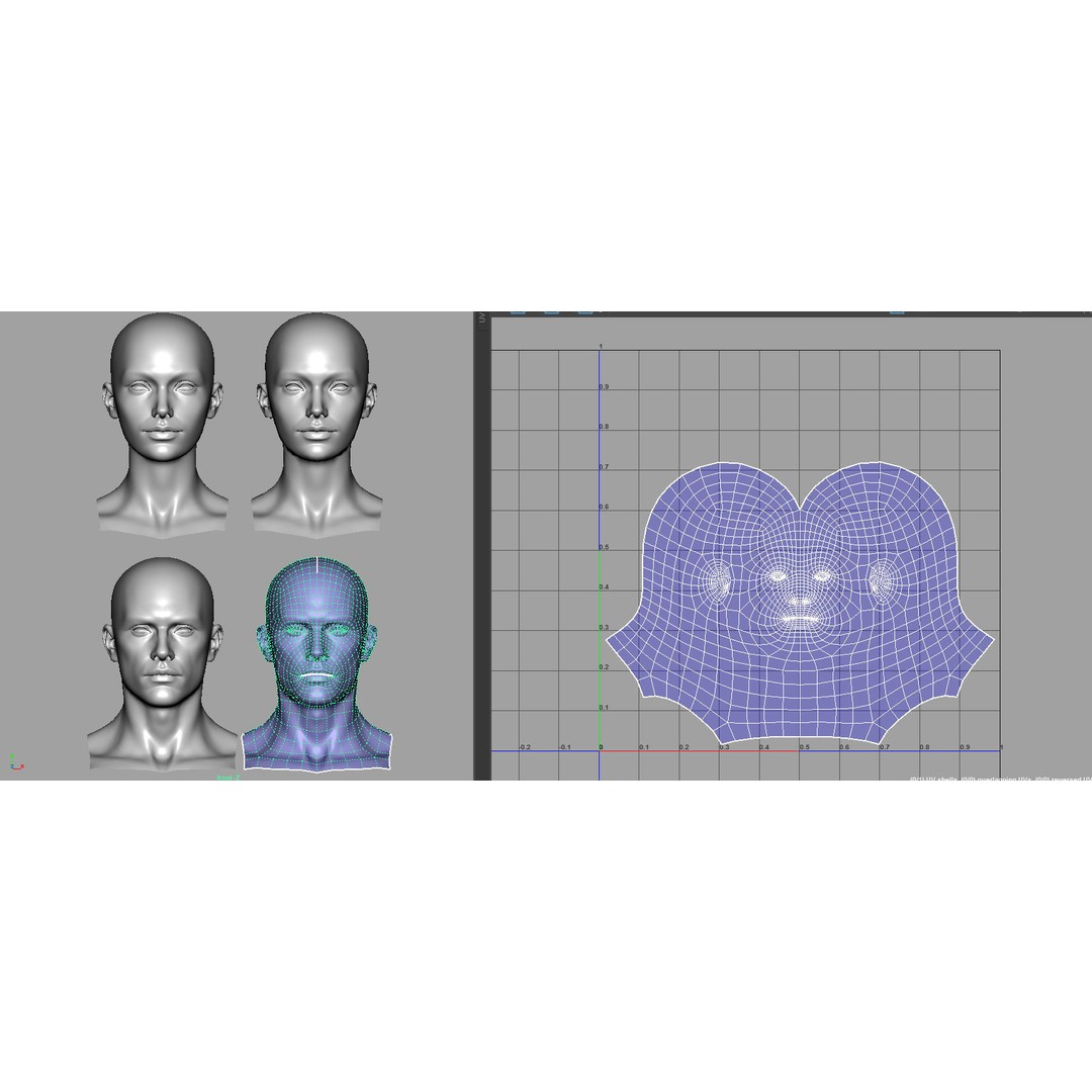 Female Male Head Base Mesh 3D Model – Low Poly Blendshape Asset, FBX