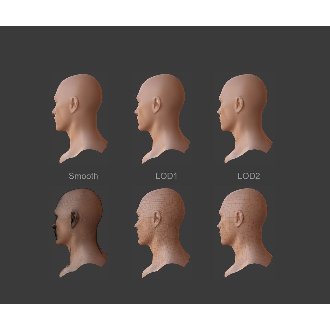 Female Male Head Base Mesh 3D Model – Low Poly Blendshape Asset, FBX - View 13