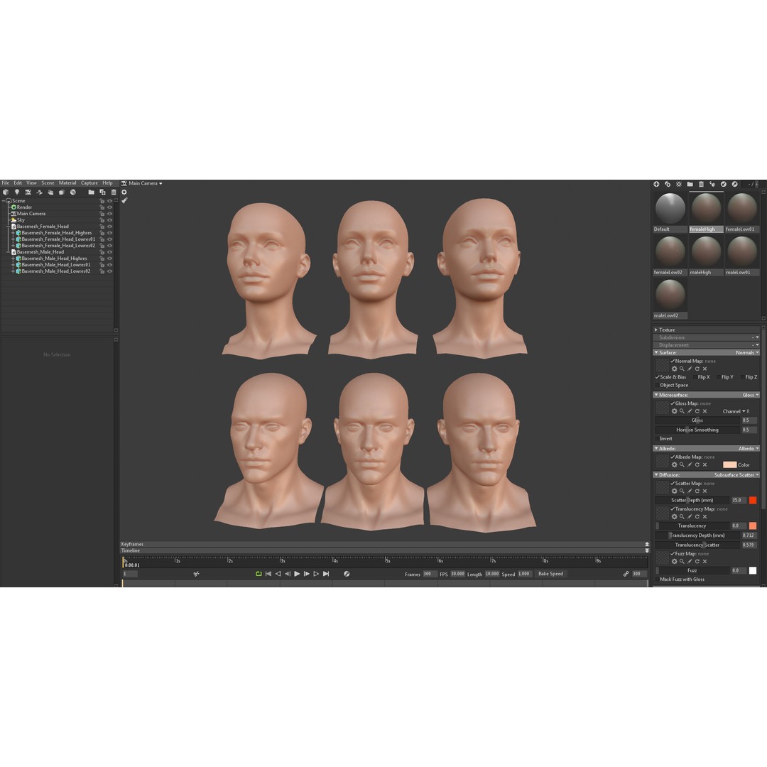 Female Male Head Base Mesh 3D Model – Low Poly Blendshape Asset, FBX - View 15