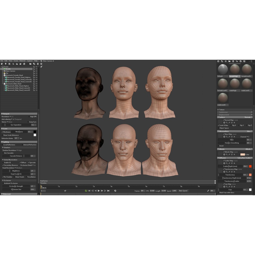 Female Male Head Base Mesh 3D Model – Low Poly Blendshape Asset, FBX - View 16
