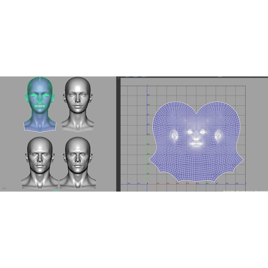 Female Male Head Base Mesh 3D Model – Low Poly Blendshape Asset, FBX - View 17