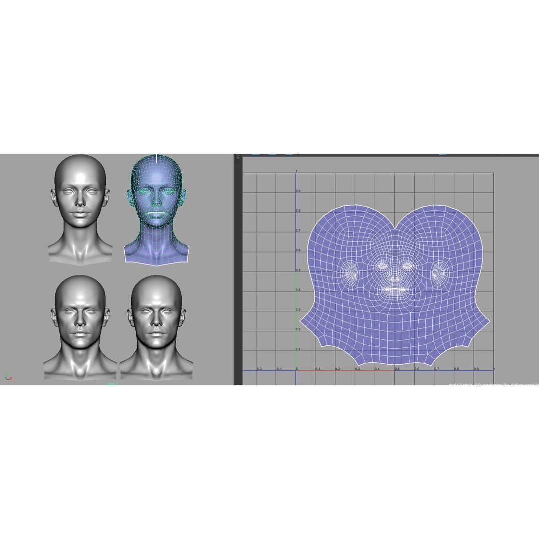 Female Male Head Base Mesh 3D Model – Low Poly Blendshape Asset, FBX - View 18