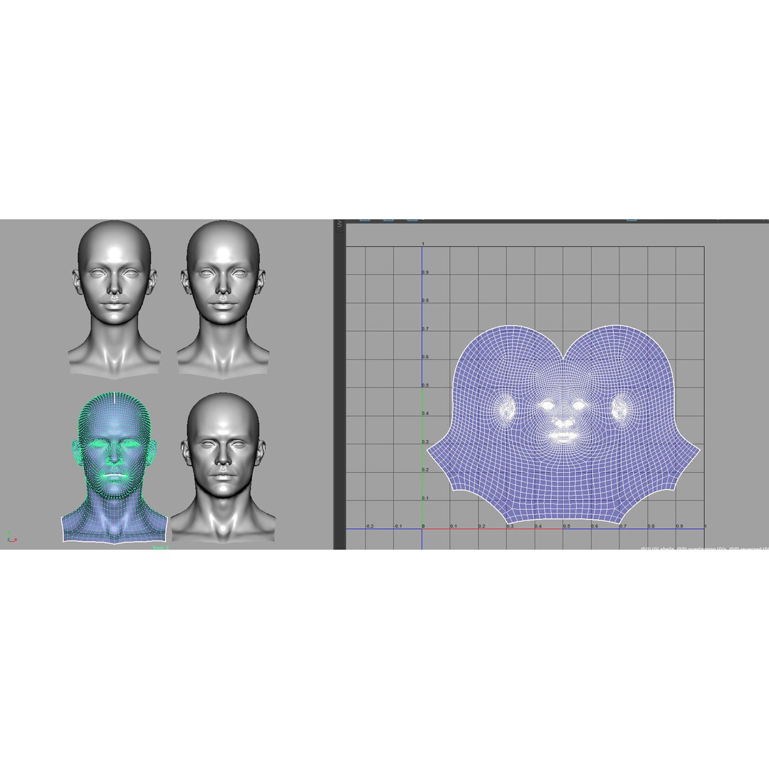Female Male Head Base Mesh 3D Model – Low Poly Blendshape Asset, FBX - View 19