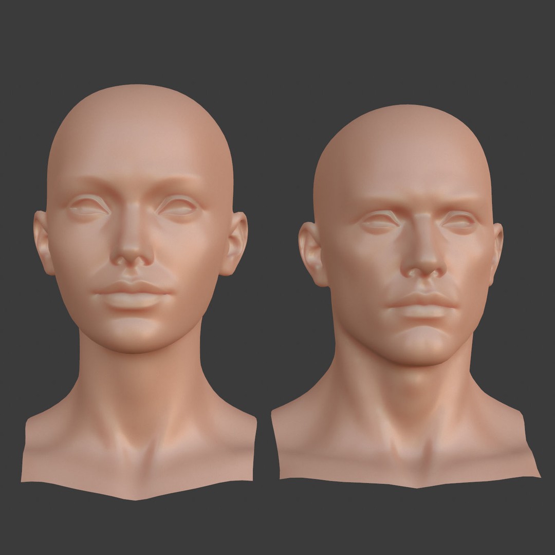 Female Male Head Base Mesh 3D Model – Low Poly Blendshape Asset, FBX - View 3