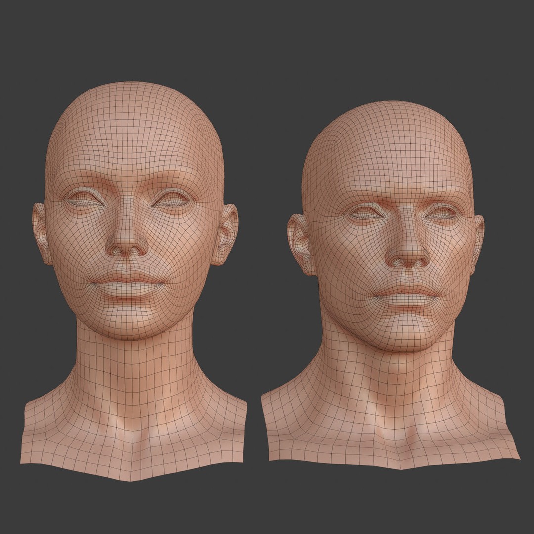 Female Male Head Base Mesh 3D Model – Low Poly Blendshape Asset, FBX - View 4