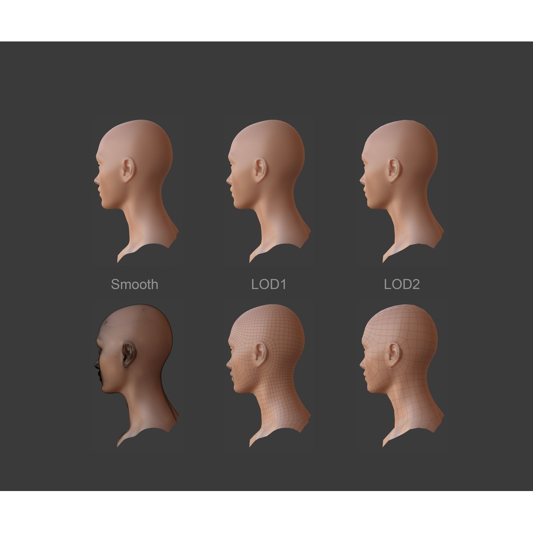 Female Male Head Base Mesh 3D Model – Low Poly Blendshape Asset, FBX - View 8