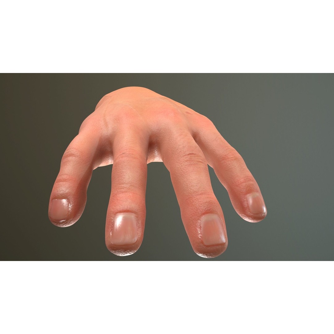 Male Hand 3D Model – Low Poly Rigged Asset with PBR Textures - View 13