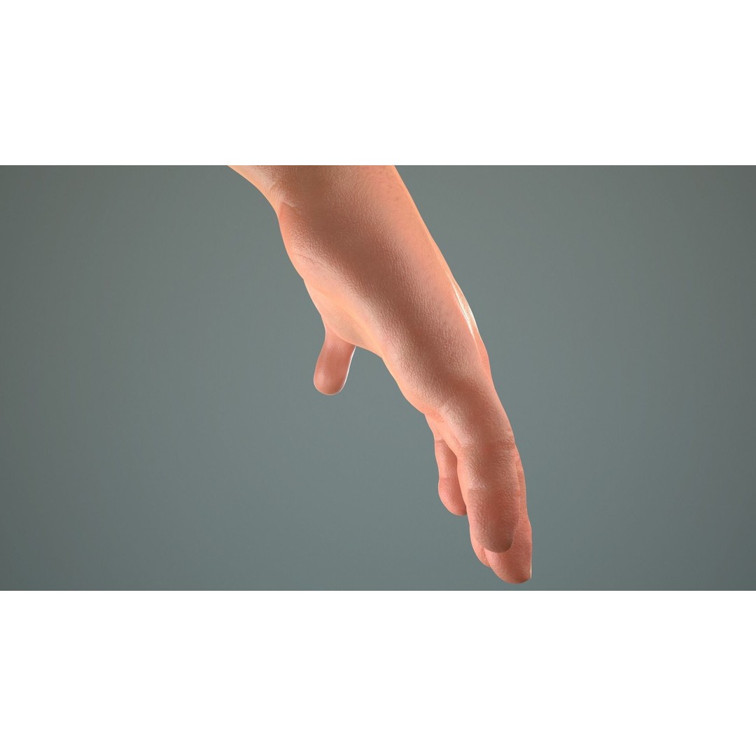Male Hand 3D Model – Low Poly Rigged Asset with PBR Textures - View 14