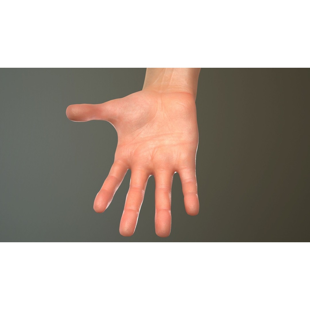 Male Hand 3D Model – Low Poly Rigged Asset with PBR Textures - View 15