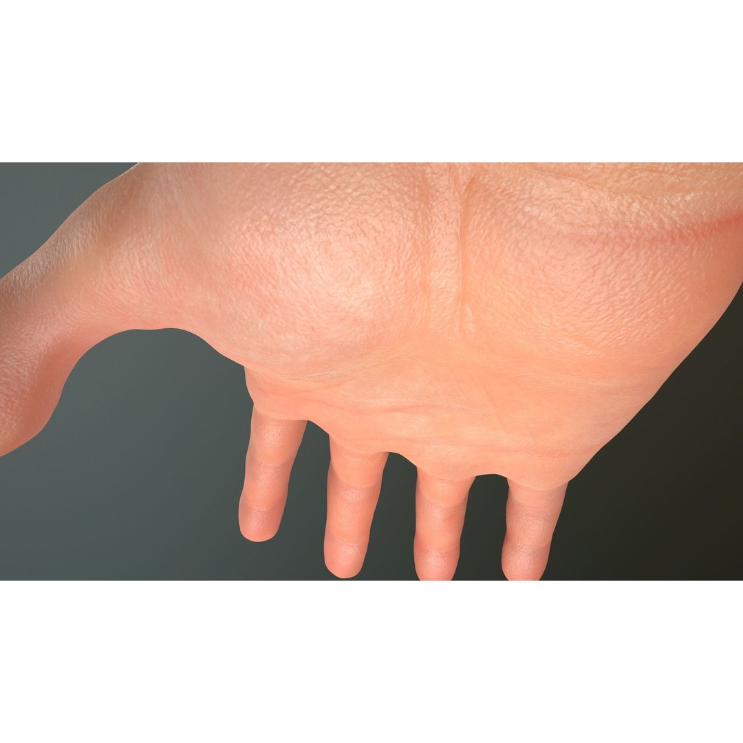 Male Hand 3D Model – Low Poly Rigged Asset with PBR Textures - View 17