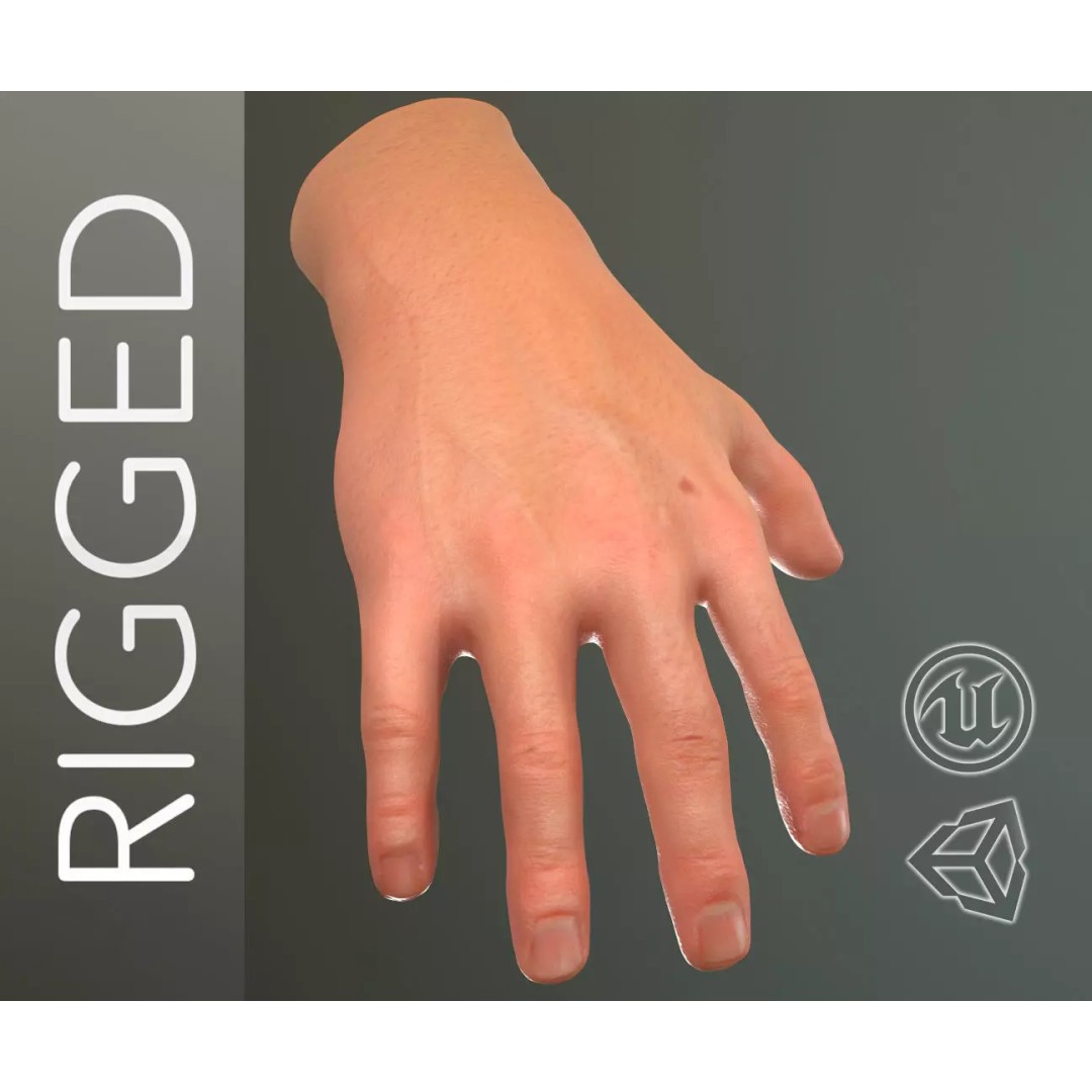 Male Hand 3D Model – Low Poly Rigged Asset with PBR Textures - View 2