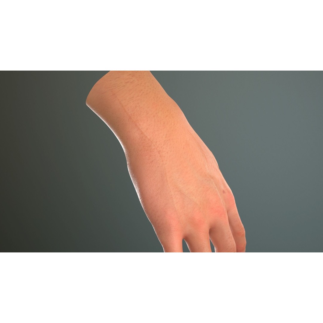 Male Hand 3D Model – Low Poly Rigged Asset with PBR Textures - View 21