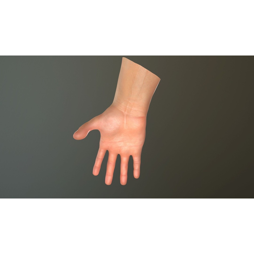 Male Hand 3D Model – Low Poly Rigged Asset with PBR Textures - View 27