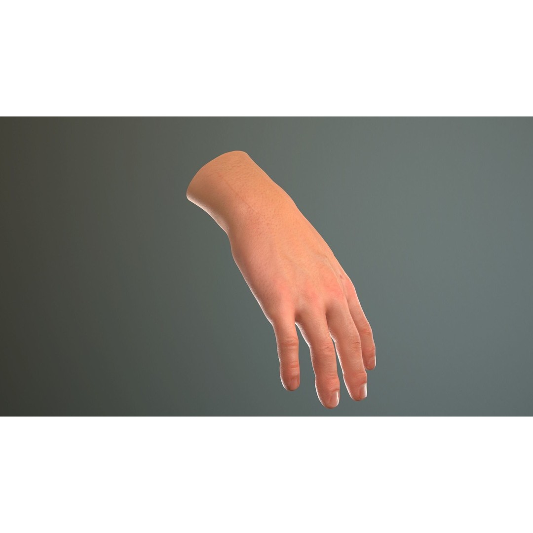 Male Hand 3D Model – Low Poly Rigged Asset with PBR Textures - View 28