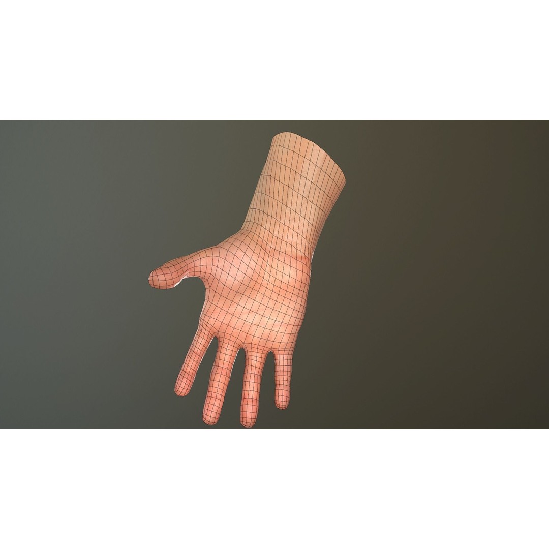 Male Hand 3D Model – Low Poly Rigged Asset with PBR Textures - View 34