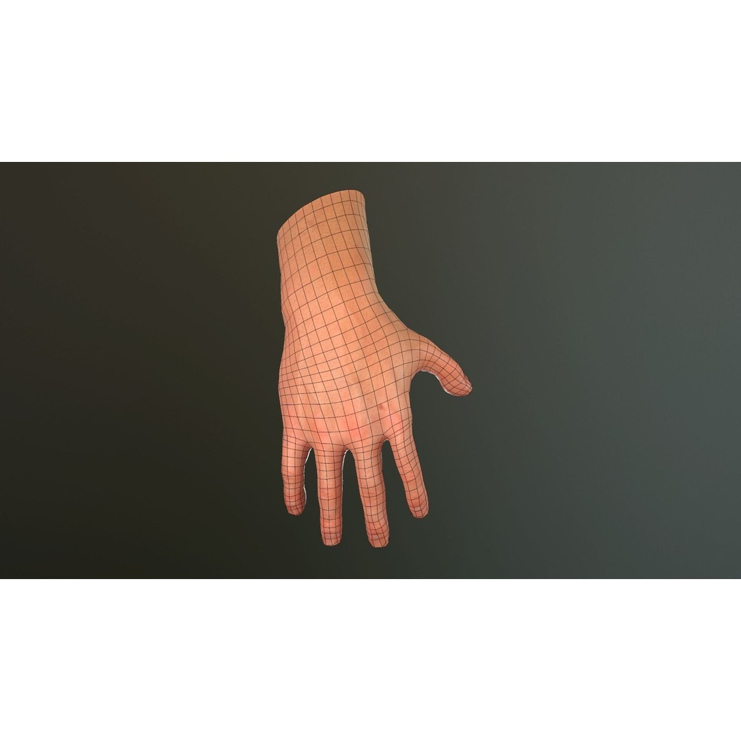 Male Hand 3D Model – Low Poly Rigged Asset with PBR Textures - View 35