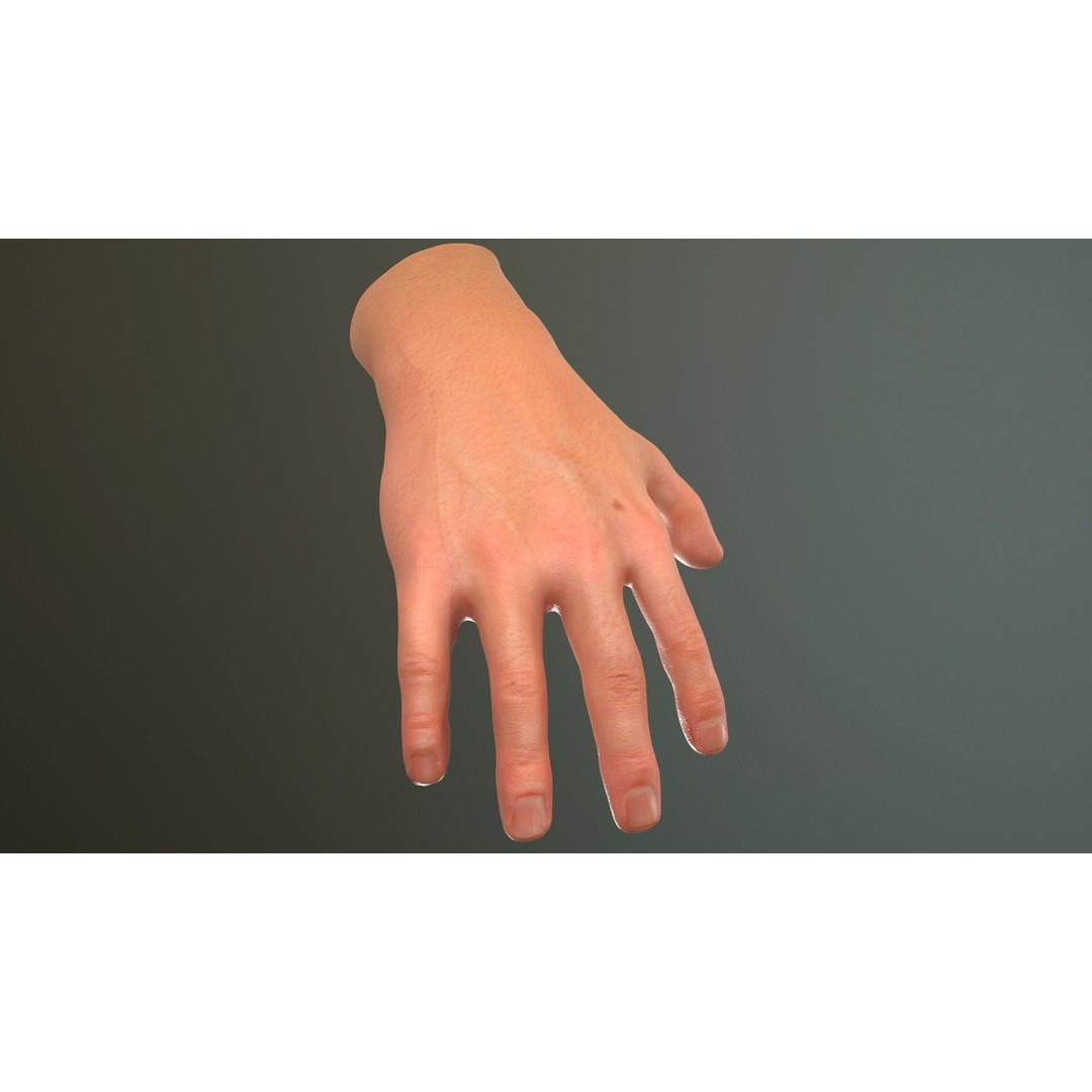 Male Hand 3D Model – Low Poly Rigged Asset with PBR Textures - View 5