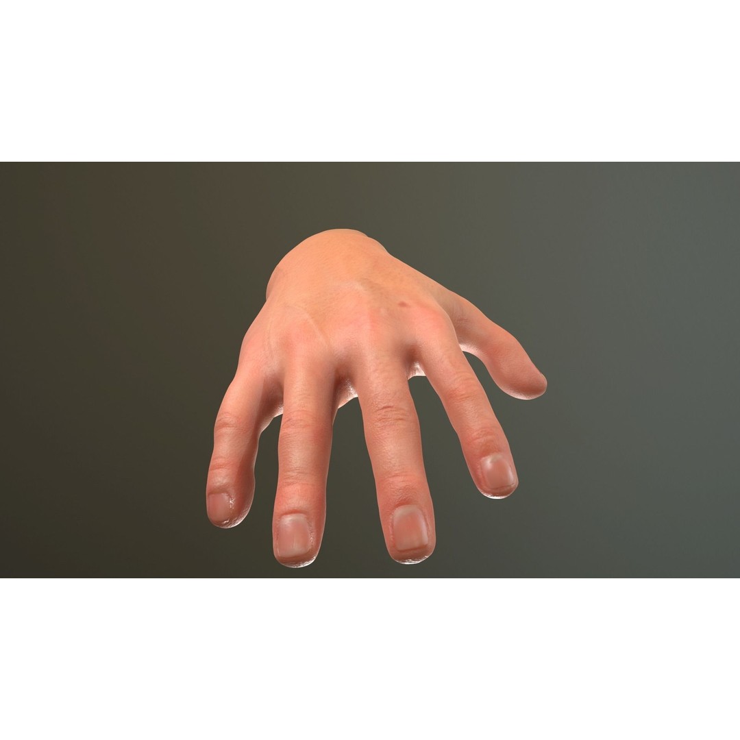 Male Hand 3D Model – Low Poly Rigged Asset with PBR Textures - View 7
