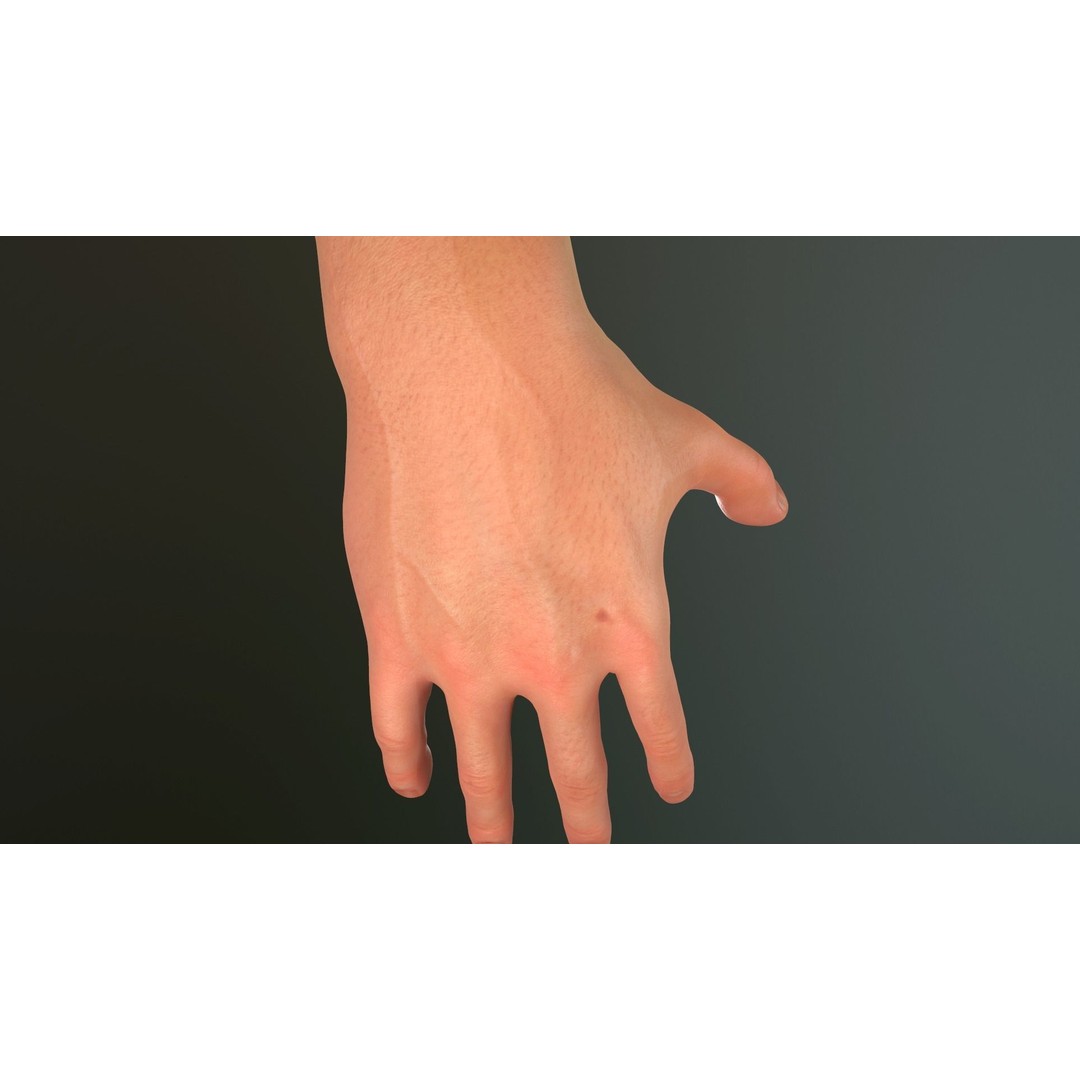 Male Hand 3D Model – Low Poly Rigged Asset with PBR Textures - View 8