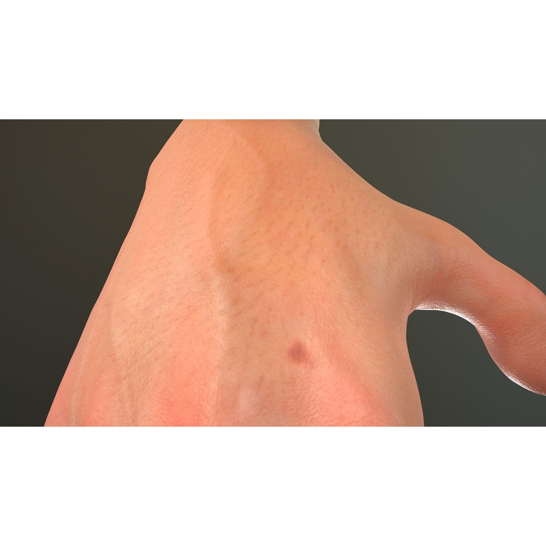 Male Hand 3D Model – Low Poly Rigged Asset with PBR Textures - View 9
