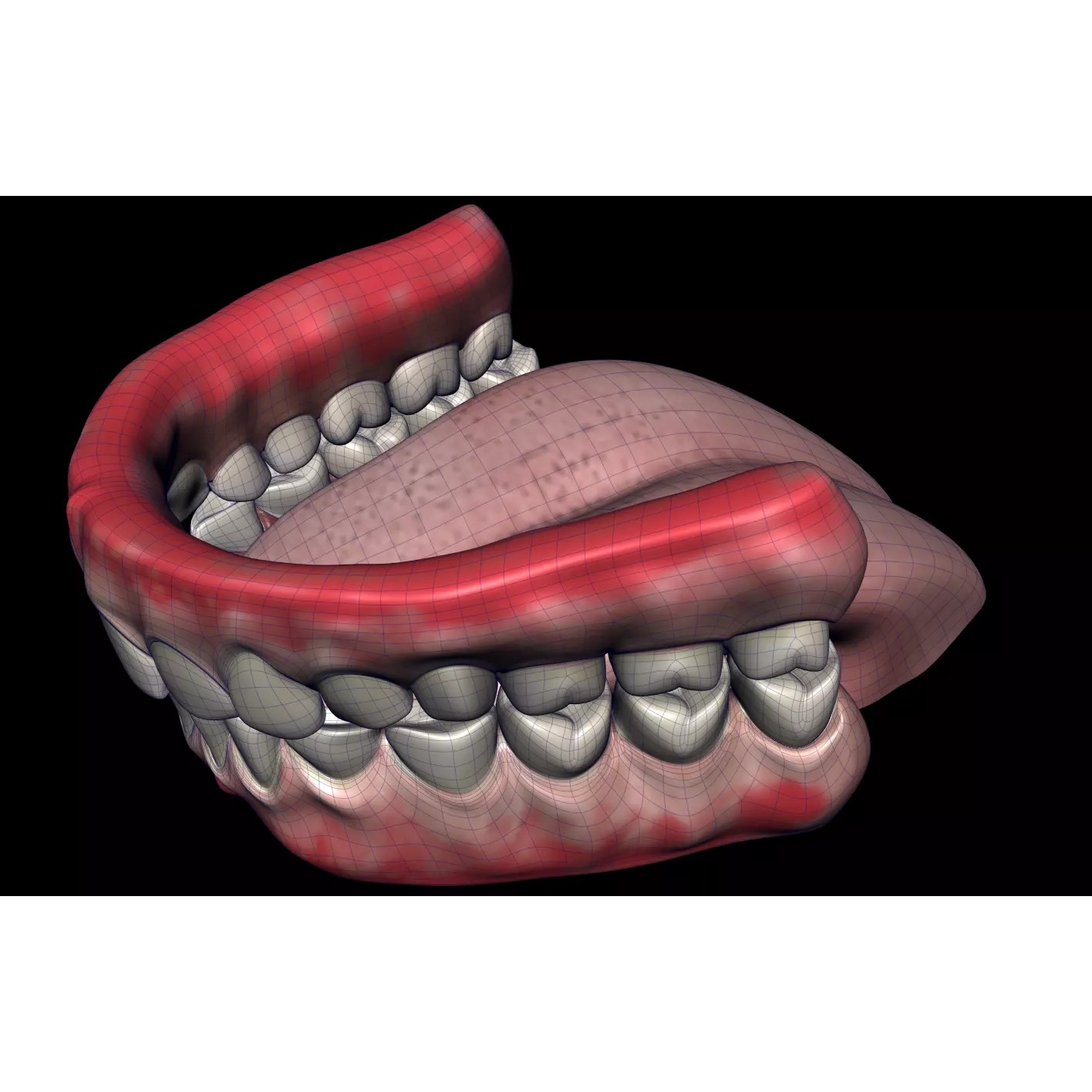 Mouth Cavity - Low-Poly Game-Ready 3D Model