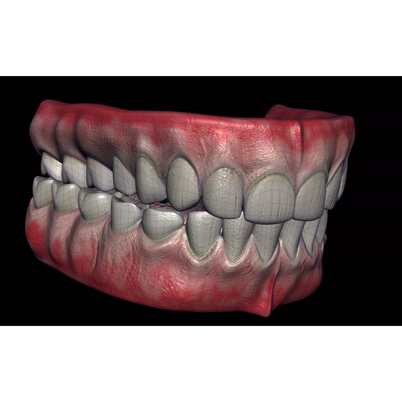 Mouth Cavity - Low-Poly Game-Ready 3D Model - View 2