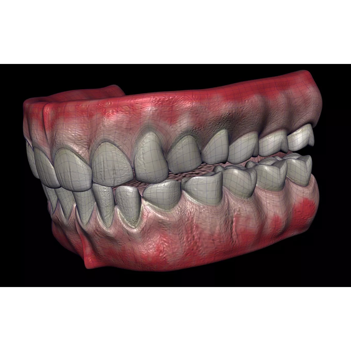 Mouth Cavity - Low-Poly Game-Ready 3D Model - View 3