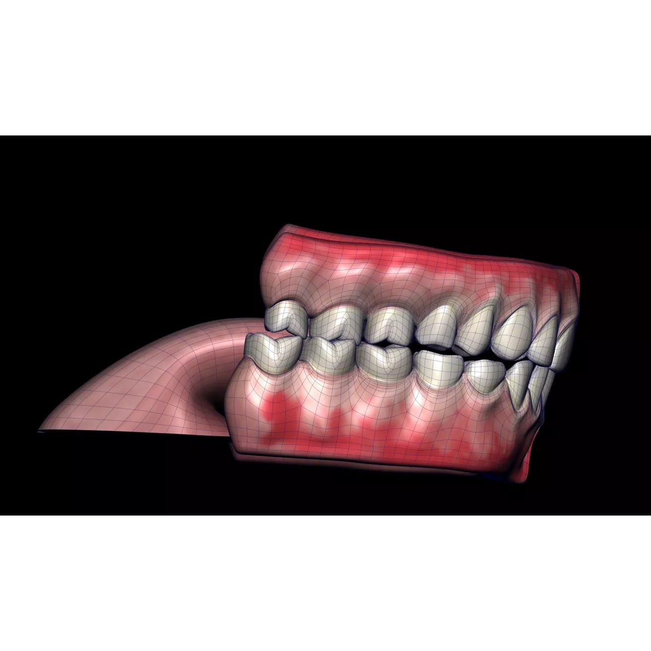 Mouth Cavity - Low-Poly Game-Ready 3D Model - View 6