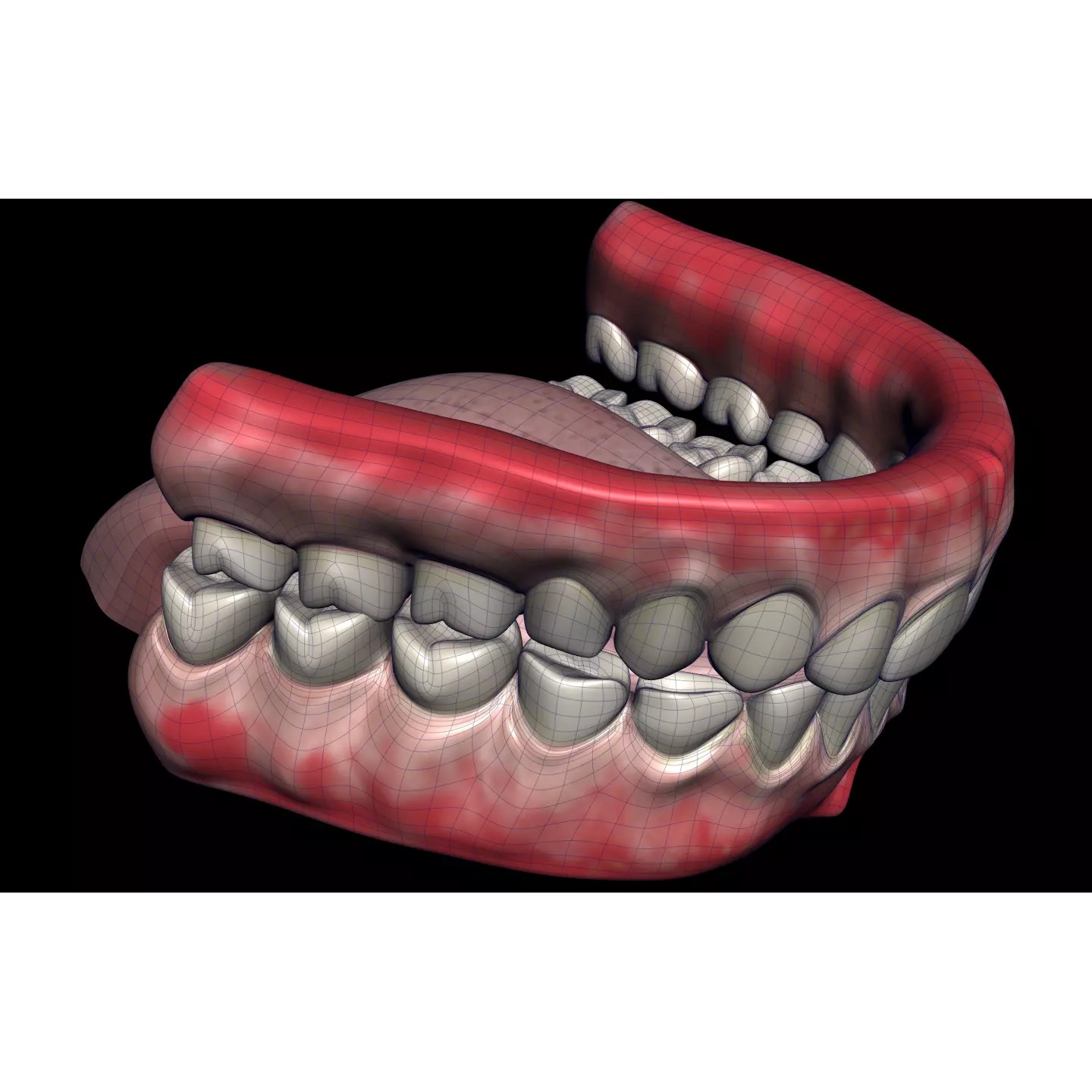 Mouth Cavity - Low-Poly Game-Ready 3D Model - View 7